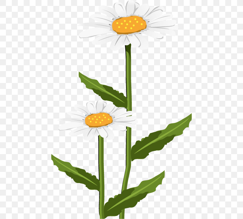 Daisy, PNG, 474x739px, Mayweed, Camomile, Chamomile, Daisy, Daisy Family Download Free