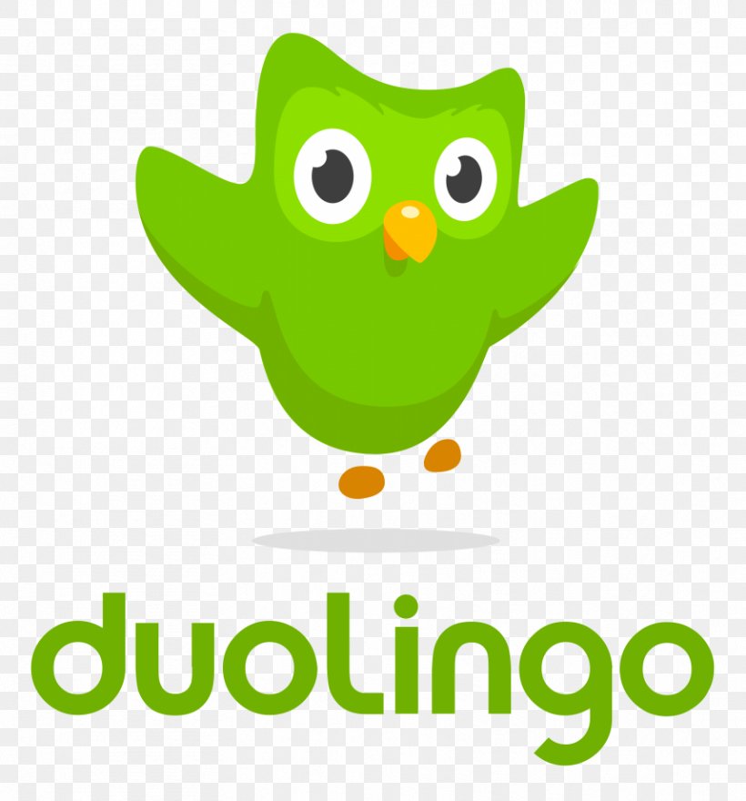 Duolingo Learning Mobile App Foreign Language Clip Art, PNG, 857x920px, Duolingo, Area, Artwork, Beak, Bird Download Free