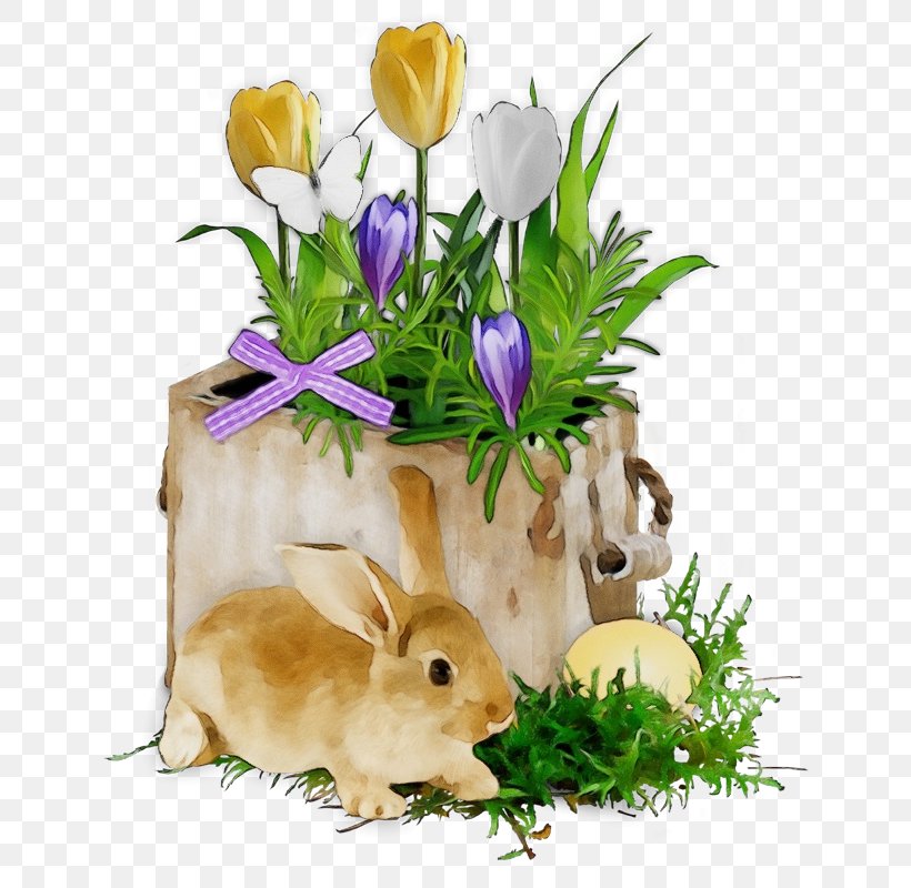 Easter Bunny, PNG, 679x800px, Watercolor, Crocus, Domestic Rabbit, Easter, Easter Bunny Download Free