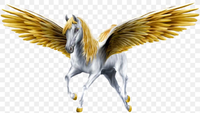 Pegasus Desktop Wallpaper Download Greek Mythology, PNG, 1300x741px, Pegasus, Beak, Bird, Bird Of Prey, Drawing Download Free