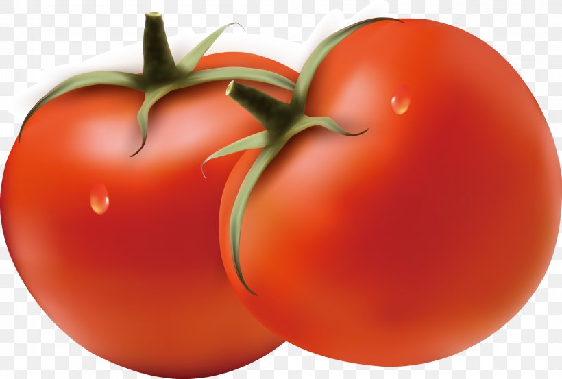 Plum Tomato Hamburger Bush Tomato Vegetable, PNG, 2108x1422px, Plum Tomato, Apple, Beef, Bush Tomato, Diet Download Free