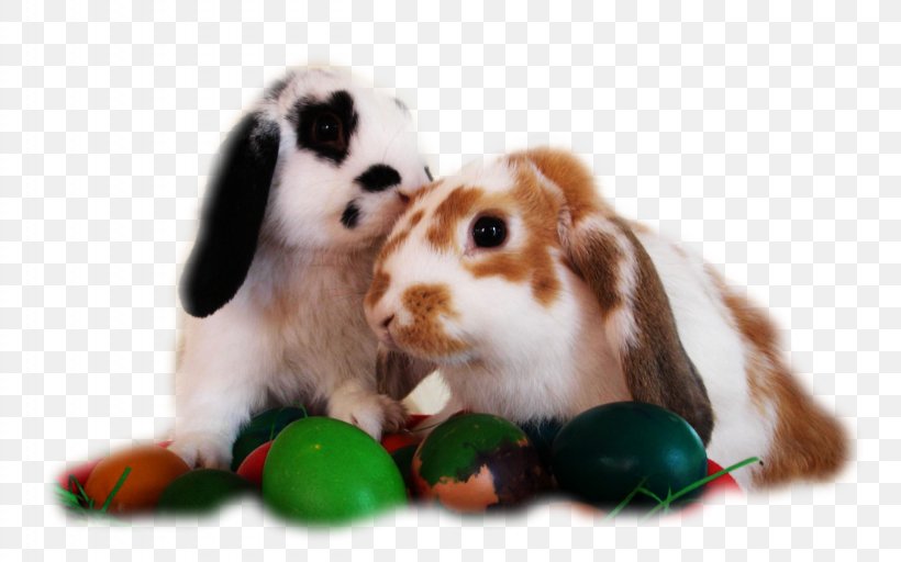 Desktop Wallpaper Easter Bunny Desktop Computers Wallpaper, PNG, 2560x1600px, Easter Bunny, Cavalier King Charles Spaniel, Companion Dog, Desktop Computers, Desktop Environment Download Free