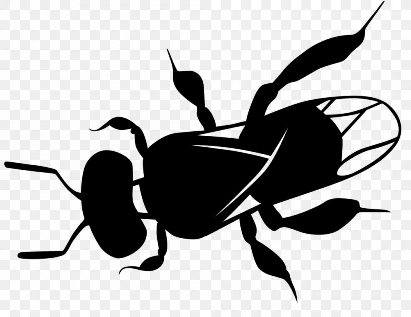 Insect Pest Membrane-winged Insect Black-and-white Ant, PNG, 1000x773px, Insect, Ant, Blackandwhite, Membranewinged Insect, Pest Download Free