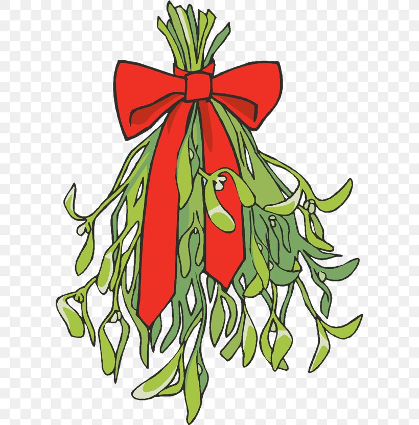 Mistletoe Clip Art, PNG, 602x832px, Mistletoe, Art, Artwork, Christmas, Christmas Decoration Download Free