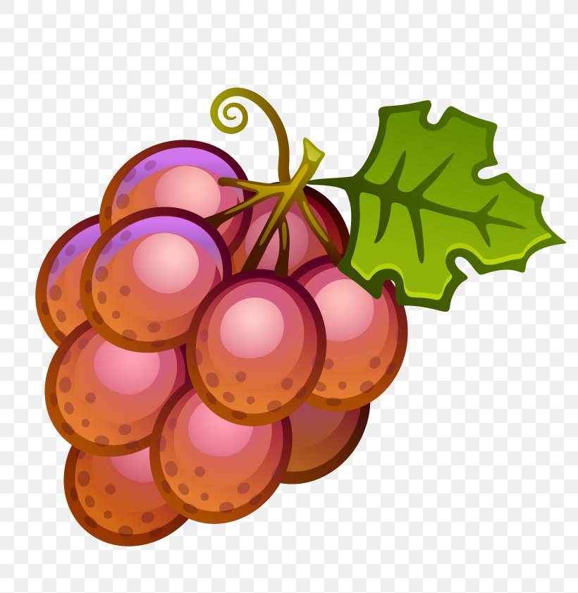 Common Grape Vine Wine Clip Art, PNG, 794x841px, Common Grape Vine, Christmas Ornament, Flowering Plant, Food, Fruit Download Free
