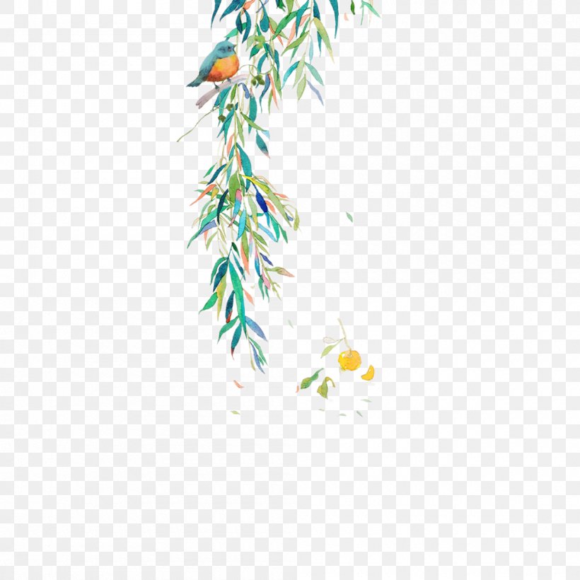 Download Willow, PNG, 1000x1000px, Willow, Animation, Bamboo, Branch, Cartoon Download Free