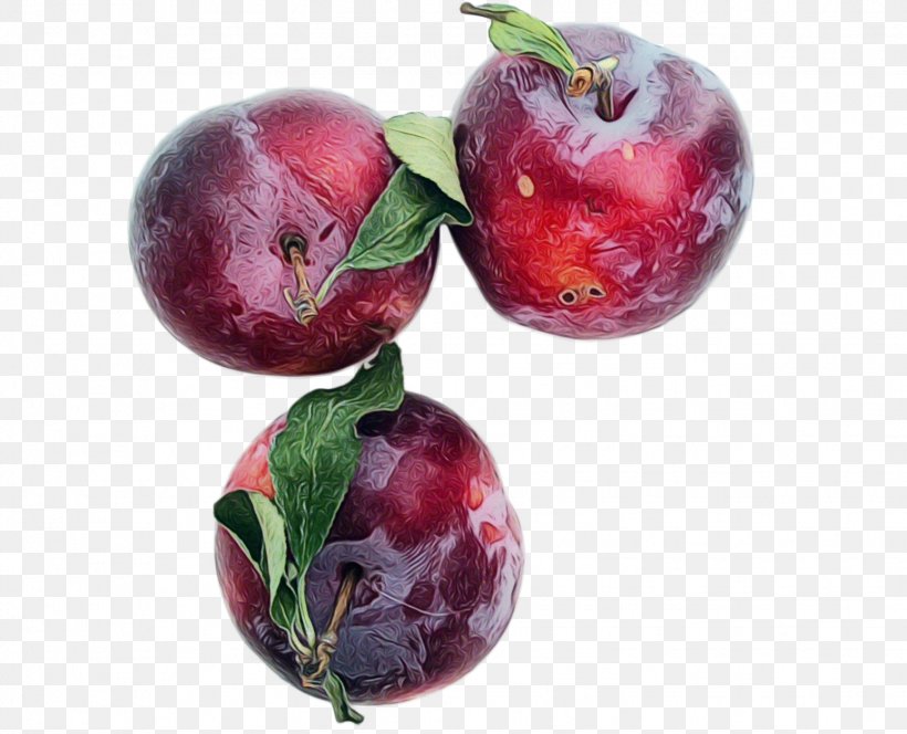 European Plum Fruit Plant Food Superfood, PNG, 1548x1254px, Watercolor, European Plum, Food, Fruit, Paint Download Free