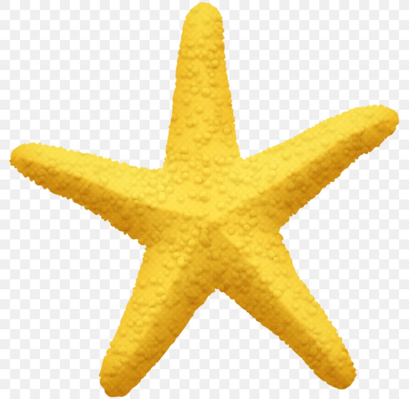Starfish Pentagram Yellow Five-pointed Star, PNG, 789x800px, Starfish, Drawing, Echinoderm, Fivepointed Star, Google Images Download Free