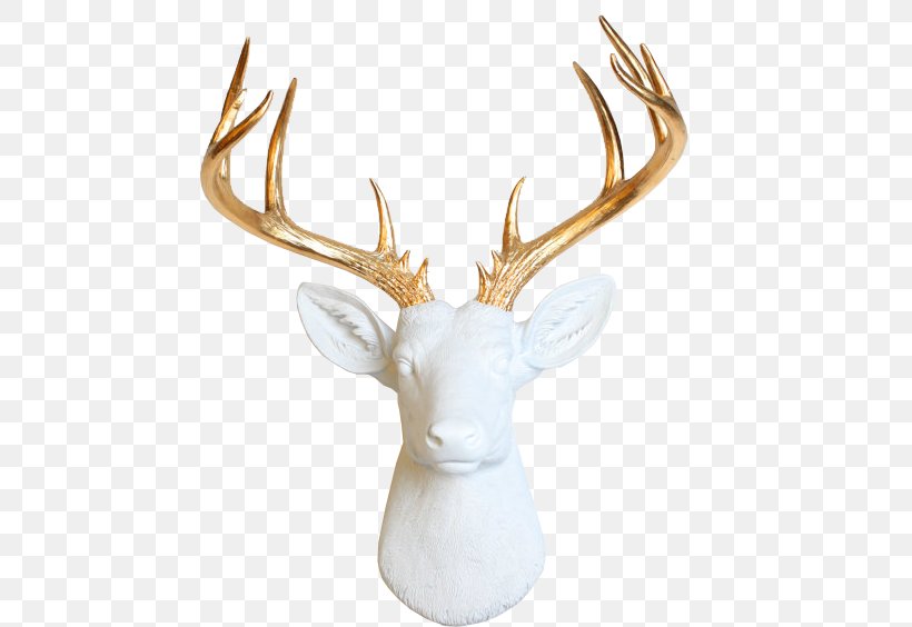 White-tailed Deer Wall Decal Taxidermy Antler, PNG, 469x564px, Deer, Accent Wall, Antler, Craft, Horn Download Free