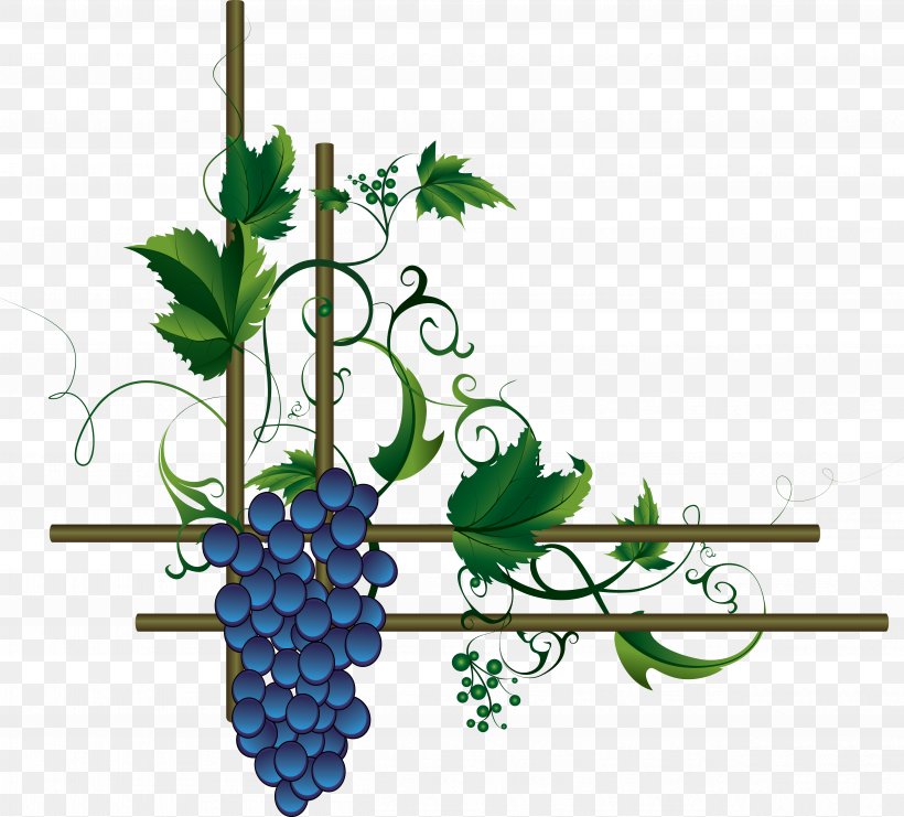 Wine Grape Leaves Merlot, PNG, 5012x4535px, Wine, Branch, Common Grape Vine, Floral Design, Flower Download Free