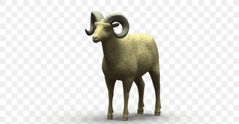 Argali Sheep Goat Wildlife Terrestrial Animal, PNG, 640x426px, Argali, Animal, Bighorn, Cow Goat Family, Goat Download Free