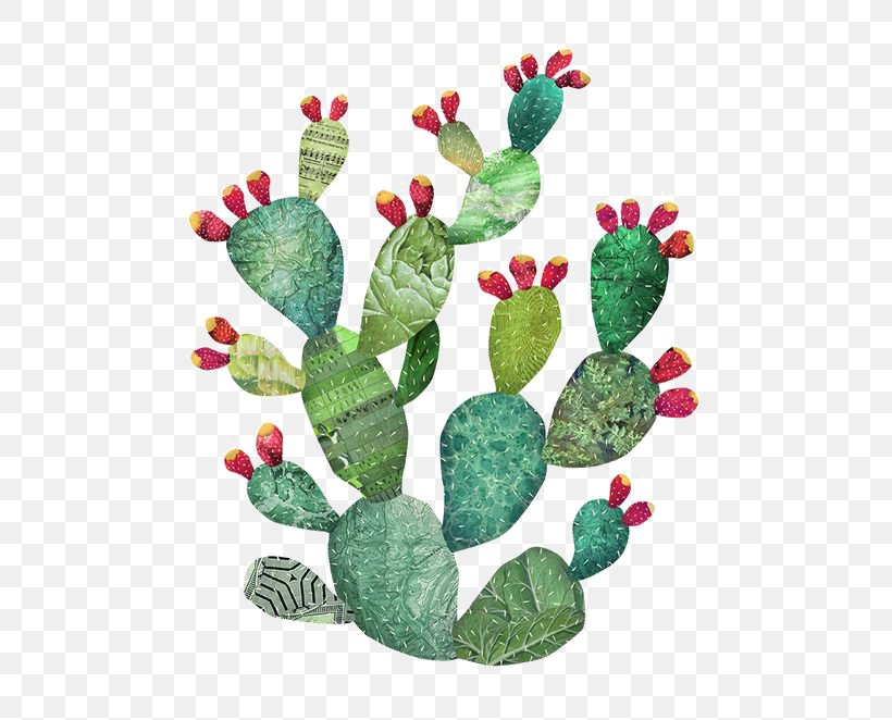 Cactaceae Watercolor Painting Art Illustration, PNG, 564x662px, Cactaceae, Art, Cactus, Canvas, Caryophyllales Download Free
