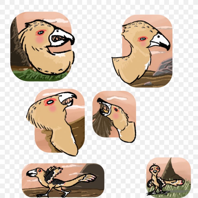 Mammal Illustration Shoe Font Animated Cartoon, PNG, 894x894px, Mammal, Animated Cartoon, Shoe Download Free