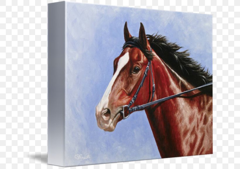 Thoroughbred Stallion American Paint Horse Oil Painting, PNG, 650x579px, Thoroughbred, American Paint Horse, Art, Bridle, Drawing Download Free
