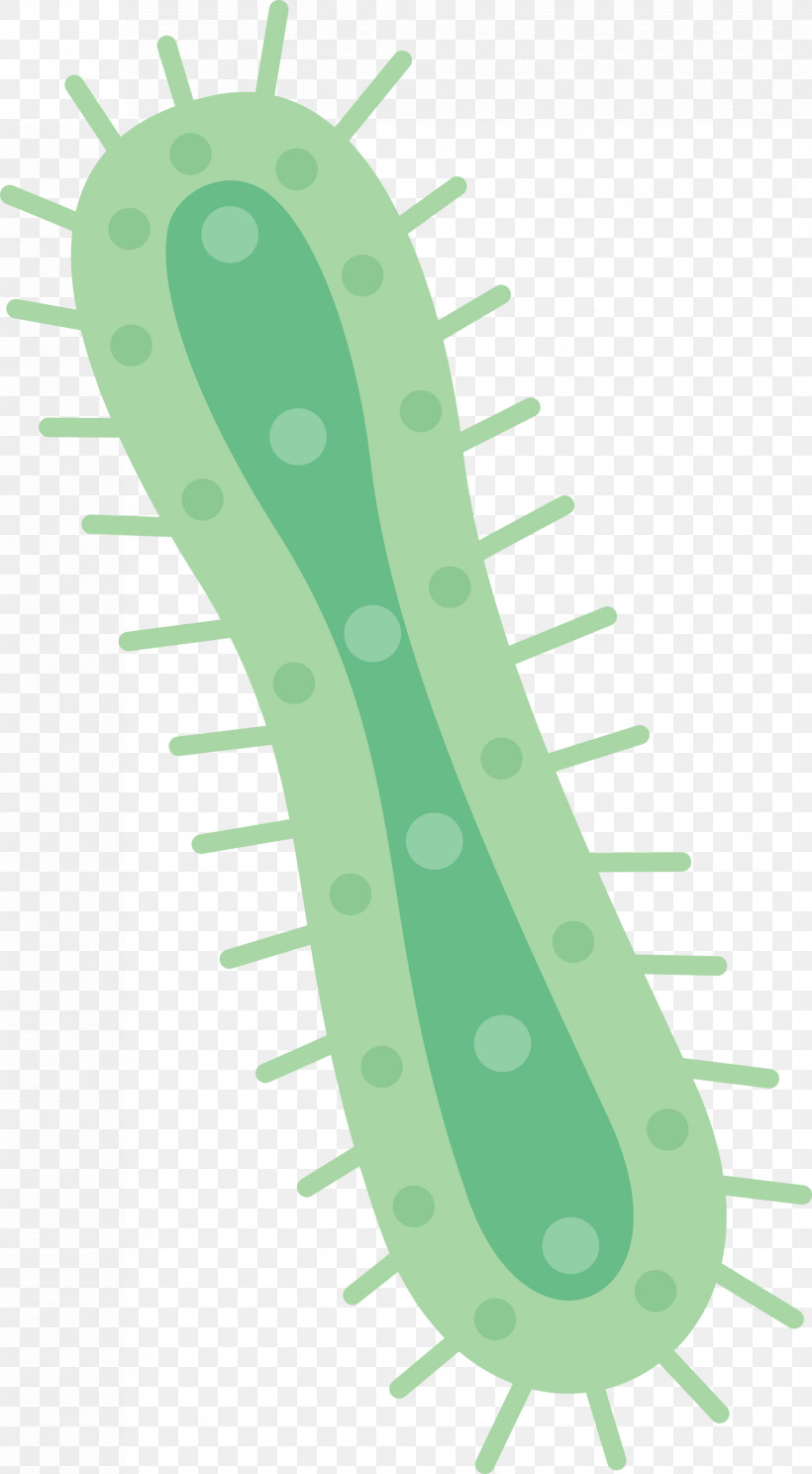 Virus, PNG, 1653x3000px, Virus, Cucumber, Cucumis, Grass, Green Download Free