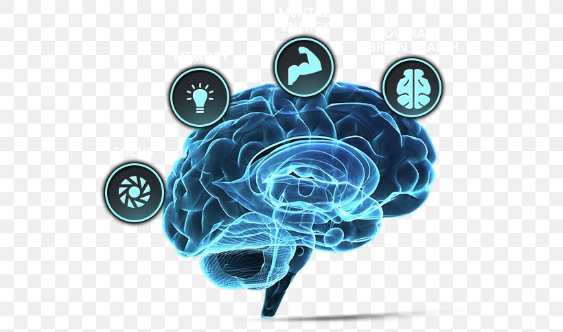 Brain Tumor Human Brain Neuroscience Forebrain, PNG, 535x484px, Watercolor, Cartoon, Flower, Frame, Heart Download Free