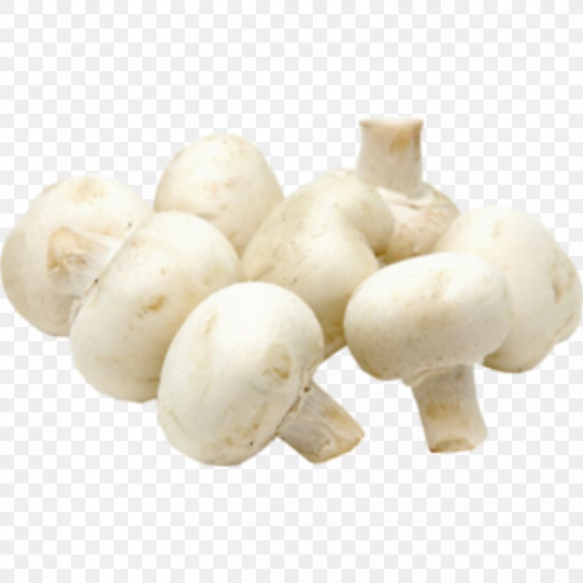 Common Mushroom Shiitake Edible Mushroom Vegetable, PNG, 1250x1250px, Common Mushroom, Agaricaceae, Agaricomycetes, Agaricus, Cauliflower Download Free