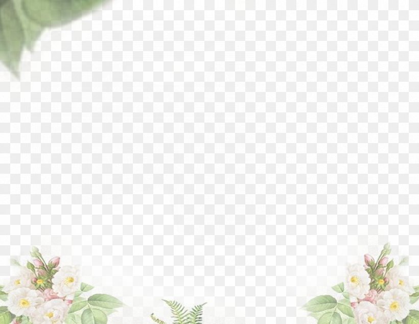 Designer, PNG, 848x656px, Designer, Floral Design, Material, Petal, Rectangle Download Free