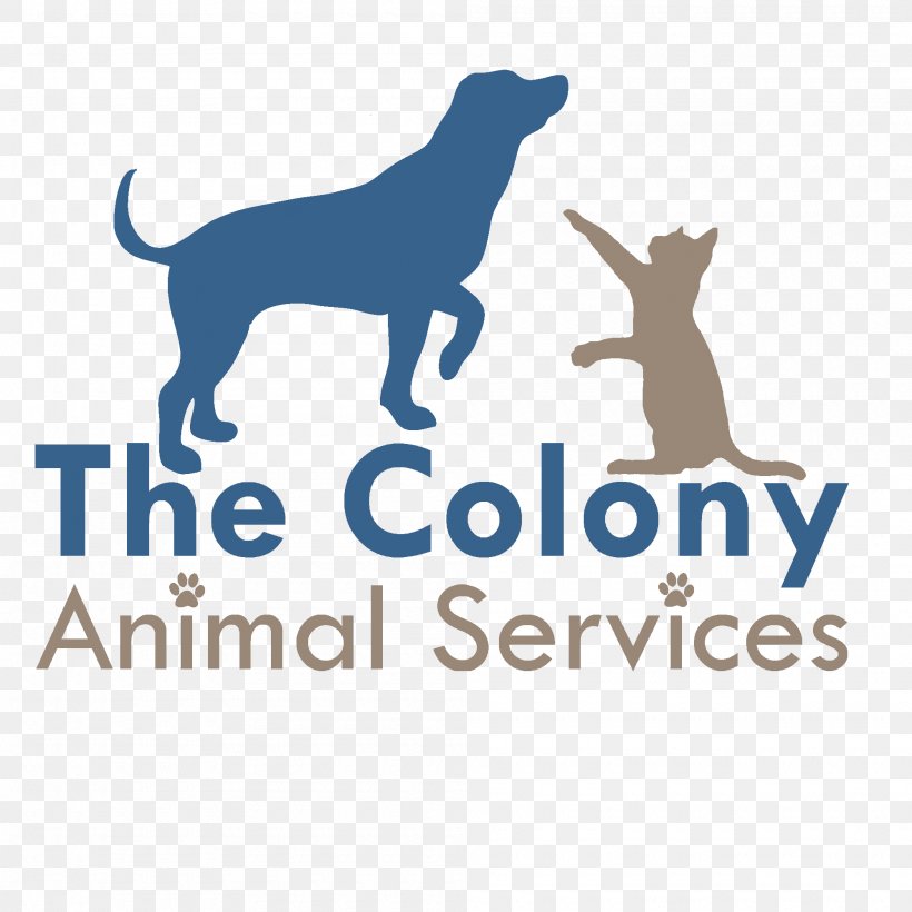 Dog Animal Shelter Veterinarian Animal Rescue Group Spay Illinois Pet Well Clinic, PNG, 2000x2000px, Dog, Adoption, Animal, Animal Rescue Group, Animal Shelter Download Free