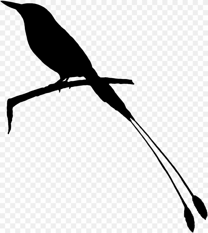 Beak Clip Art Fauna Feather Silhouette, PNG, 2143x2400px, Beak, Bird, Branch, Cuckoos, Fauna Download Free