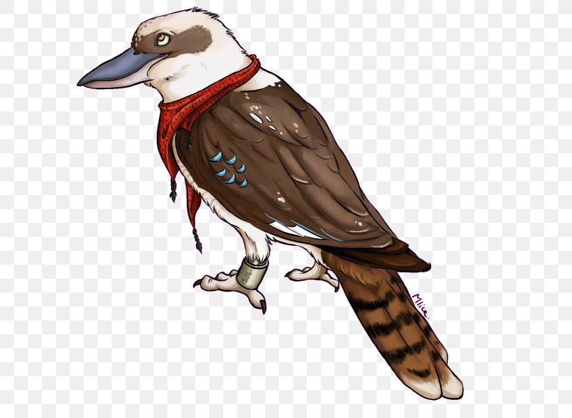Drawing Kookaburra Art, PNG, 800x600px, Drawing, Art, Artist, Beak, Bird Download Free