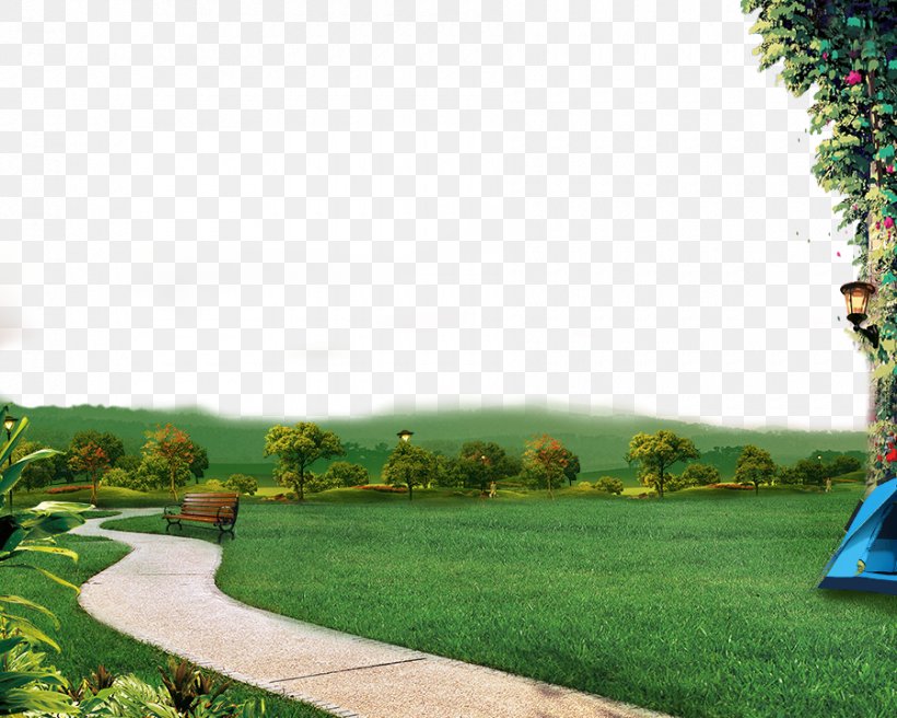 Lawn Garden Yard Google Images, PNG, 900x720px, Lawn, Creativity, Designer, Estate, Facade Download Free