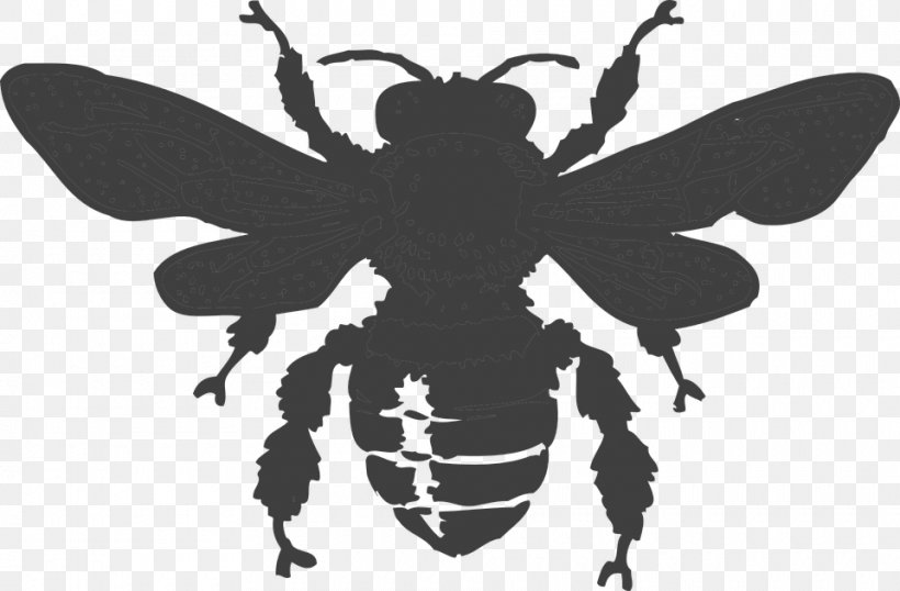 Queen Bee Clip Art, PNG, 960x631px, Bee, Arthropod, Black And White, Blog, Butterfly Download Free
