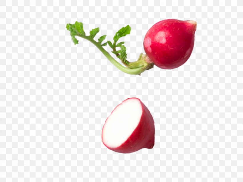 Radish Clip Art Image Vegetable, PNG, 866x650px, Radish, Beet, Beetroot, Comparazione Di File Grafici, Diet Food Download Free