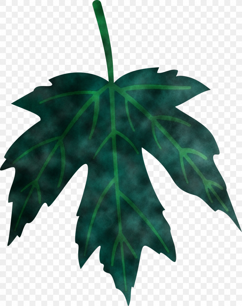 Colourful leaf free png image download