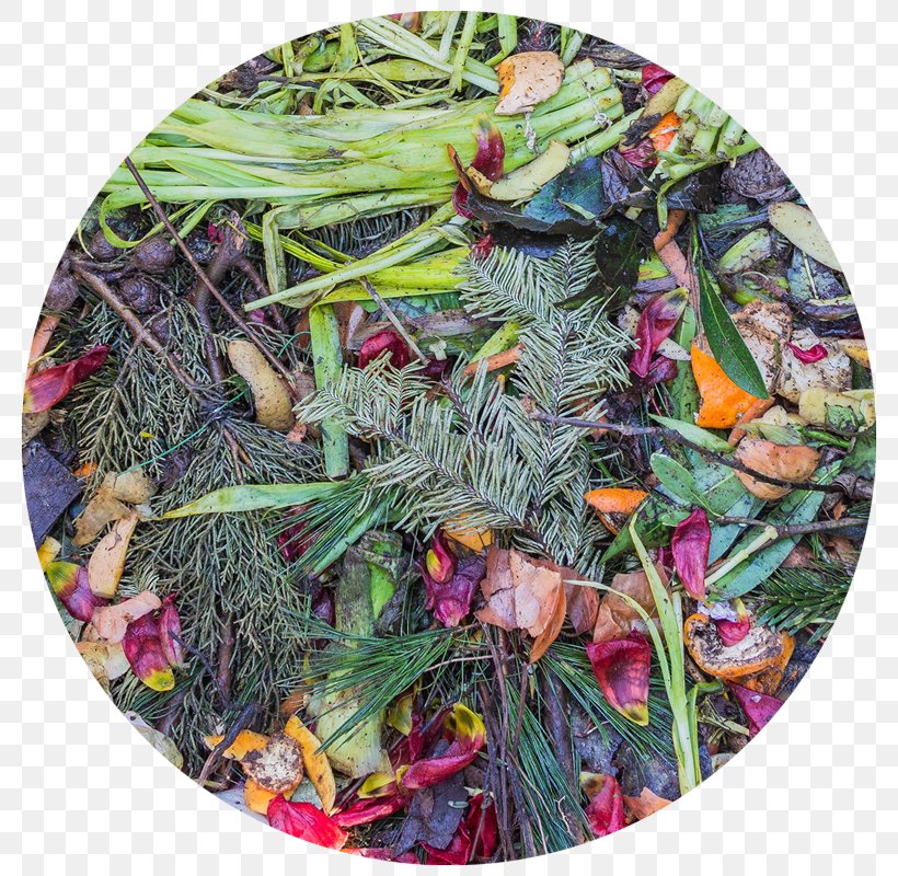 Easy Composting Food Waste Recycling, PNG, 800x800px, Compost, Biodegradable Waste, Christmas Ornament, Fertilisers, Food Waste Download Free