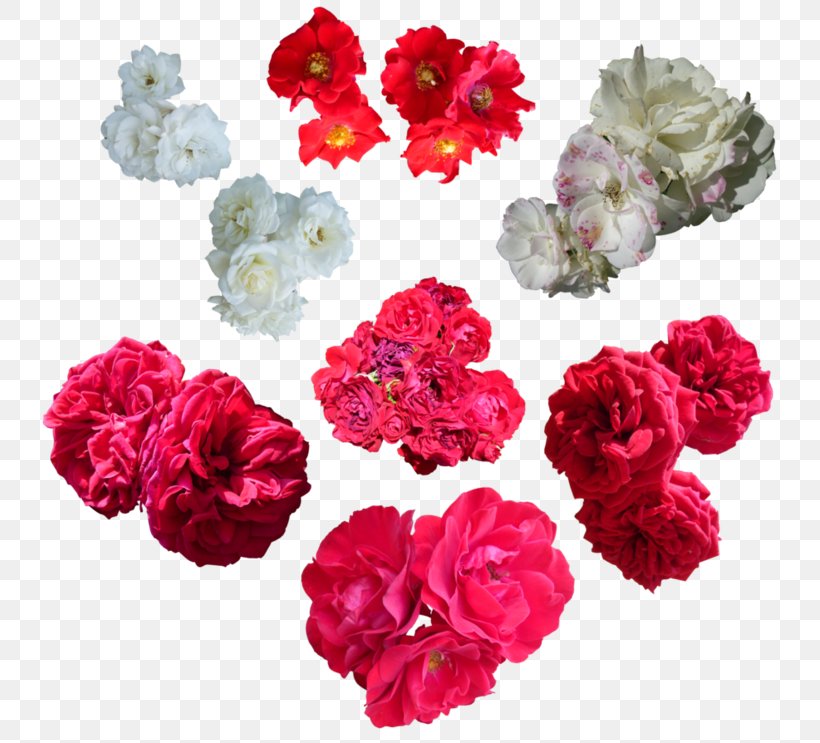 Garden Roses Flower Cabbage Rose Petal, PNG, 743x743px, Garden Roses, Annual Plant, Artificial Flower, Blog, Cabbage Rose Download Free