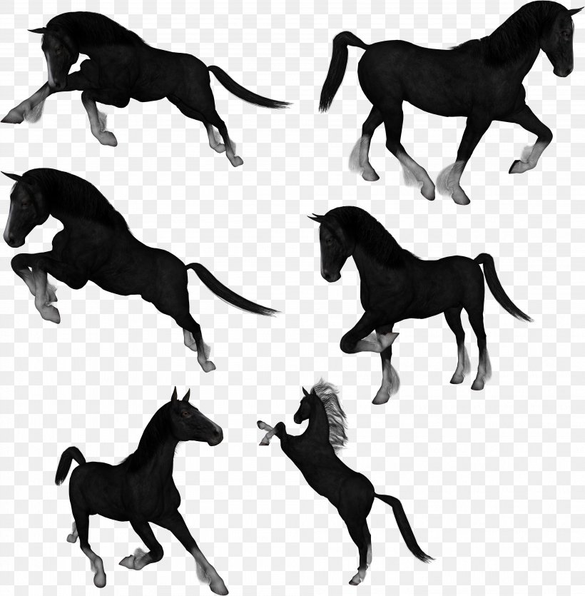 Mustang Drawing Akhal-Teke Clip Art, PNG, 3796x3867px, Mustang, Akhalteke, Animal, Black And White, Carnivoran Download Free