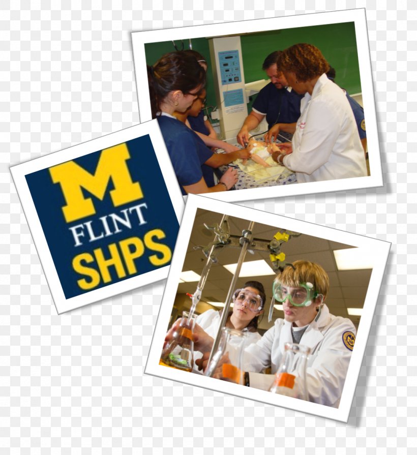 University Of Michigan–Flint Photographic Paper Picture Frames, PNG, 1082x1181px, University Of Michigan, Behavior, Collage, Flint, Homo Sapiens Download Free