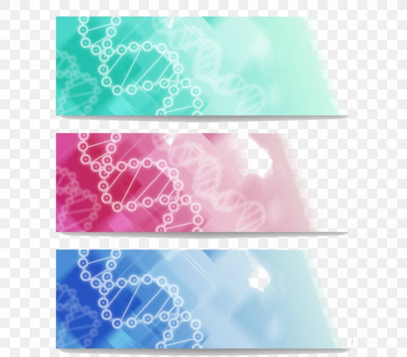 Web Banner DNA Molecule Spiral, PNG, 1022x897px, Web Banner, Advertising, Biotechnology, Color, Curve Download Free