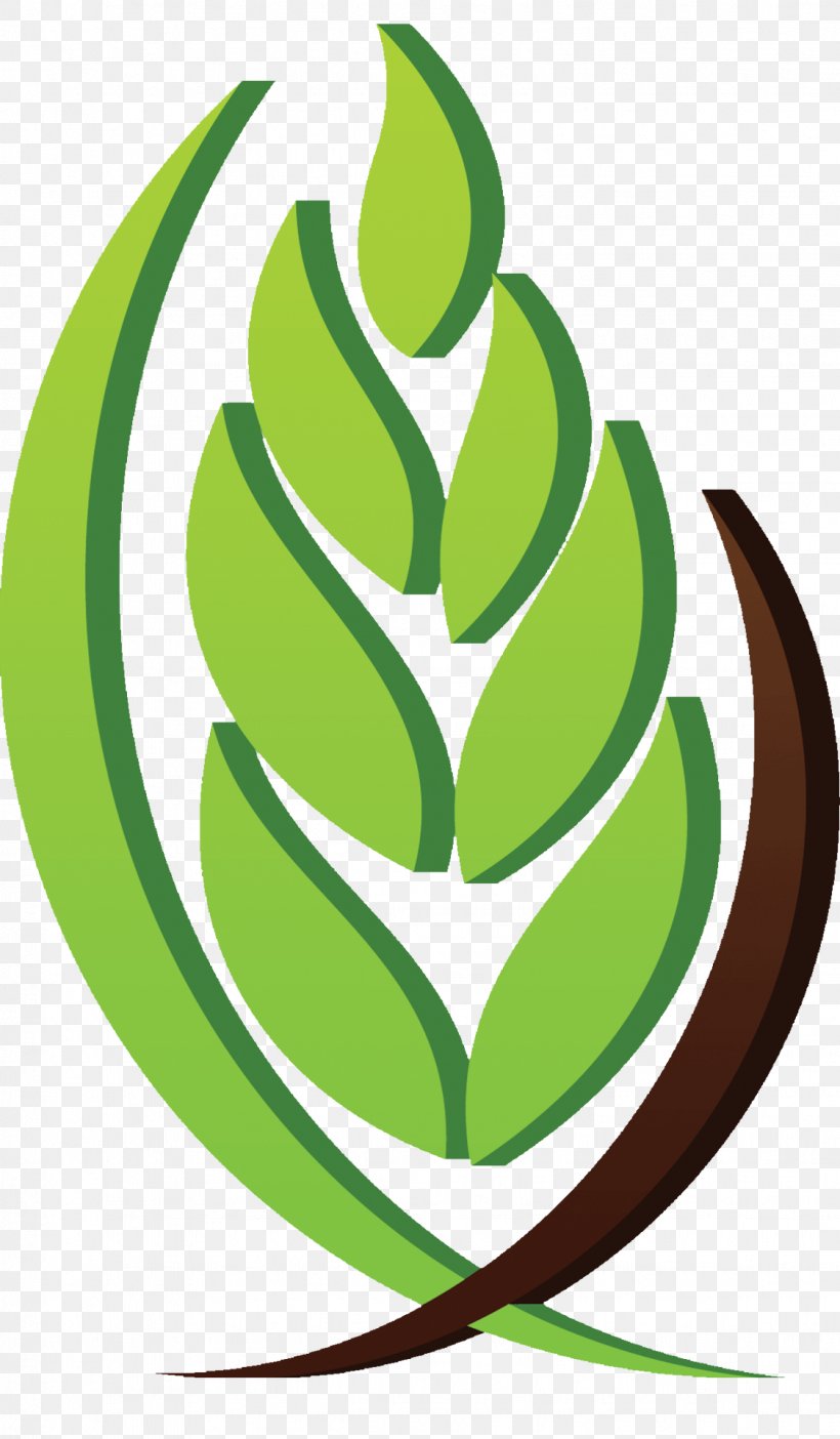 AAAID Agriculture Saudi Arabia Investment Organization, PNG, 1124x1925px, Agriculture, Authority, Business, Company, Convention Download Free