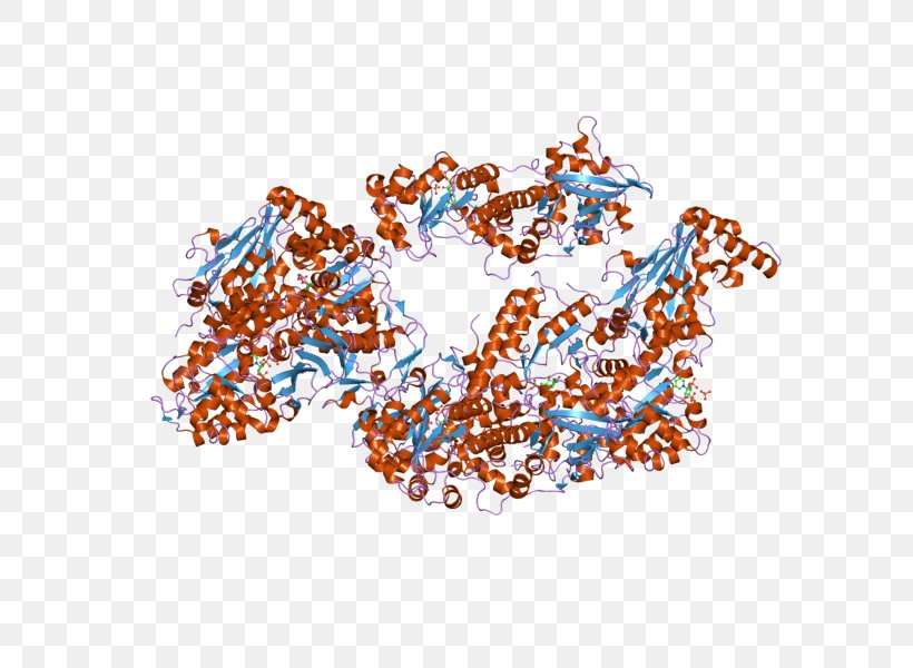 Nicotinamide Phosphoribosyltransferase Art Museum Pre-B-cell Colony Enhancing Factor 1, PNG, 800x600px, Art, Art Museum, B Cell, Crystal, Crystal Structure Download Free