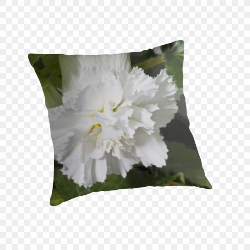 Throw Pillows Cushion Flowering Plant, PNG, 875x875px, Throw Pillows, Cushion, Flower, Flowering Plant, Petal Download Free