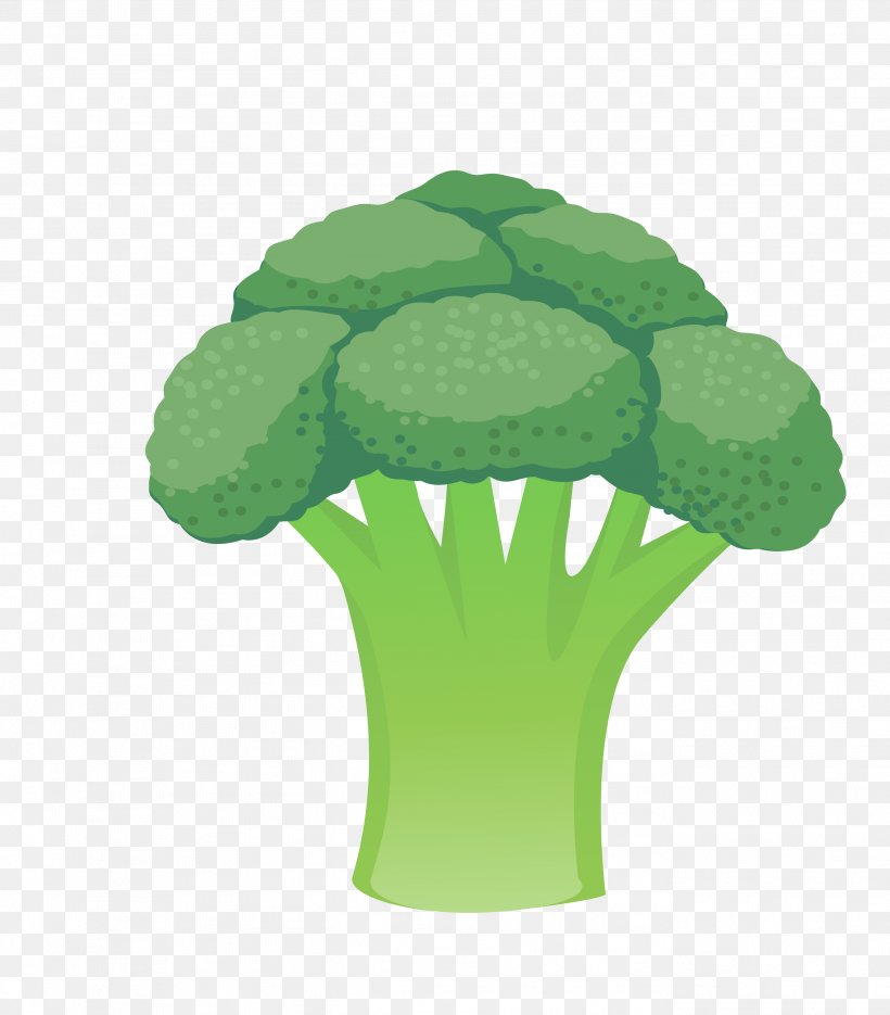 Cauliflower Vegetable Broccoli, PNG, 2733x3118px, Cauliflower, Broccoli, Food, Grass, Green Download Free