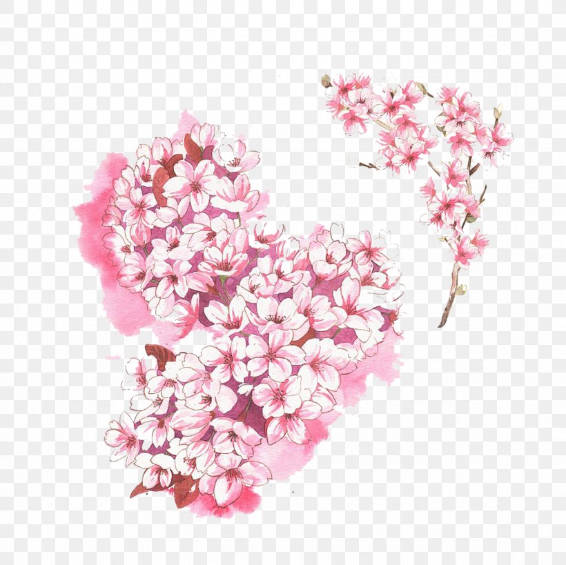Cherry Blossom Cerasus, PNG, 2362x2362px, Cherry Blossom, Blossom, Cerasus, Cherry, Concepteur Download Free