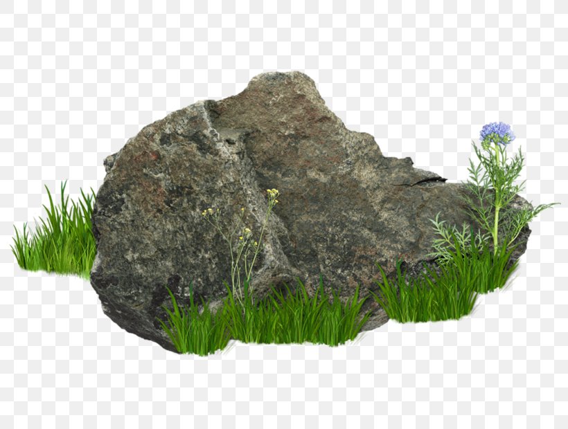 Clip Art, PNG, 800x620px, Raster Graphics, Bedrock, Grass, Rock, Stone Download Free