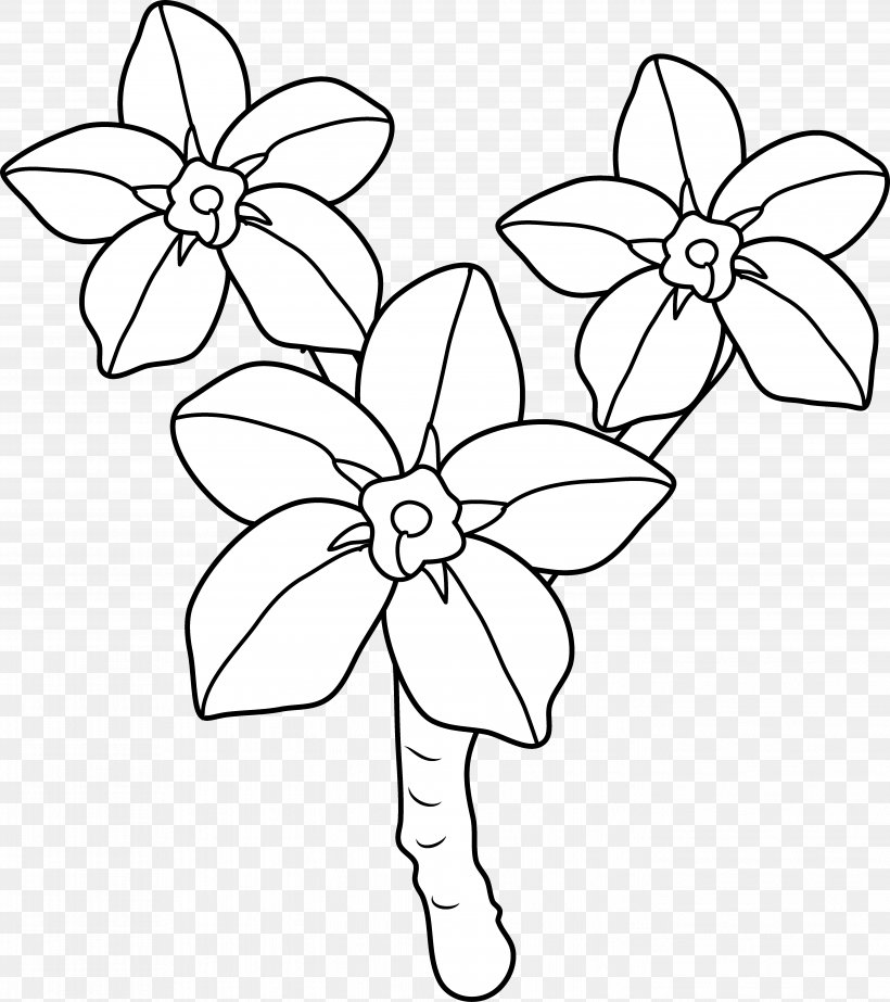 Coloring Book Scorpion Grasses Flower Clip Art, PNG, 5589x6296px, Coloring Book, Area, Art, Black, Black And White Download Free