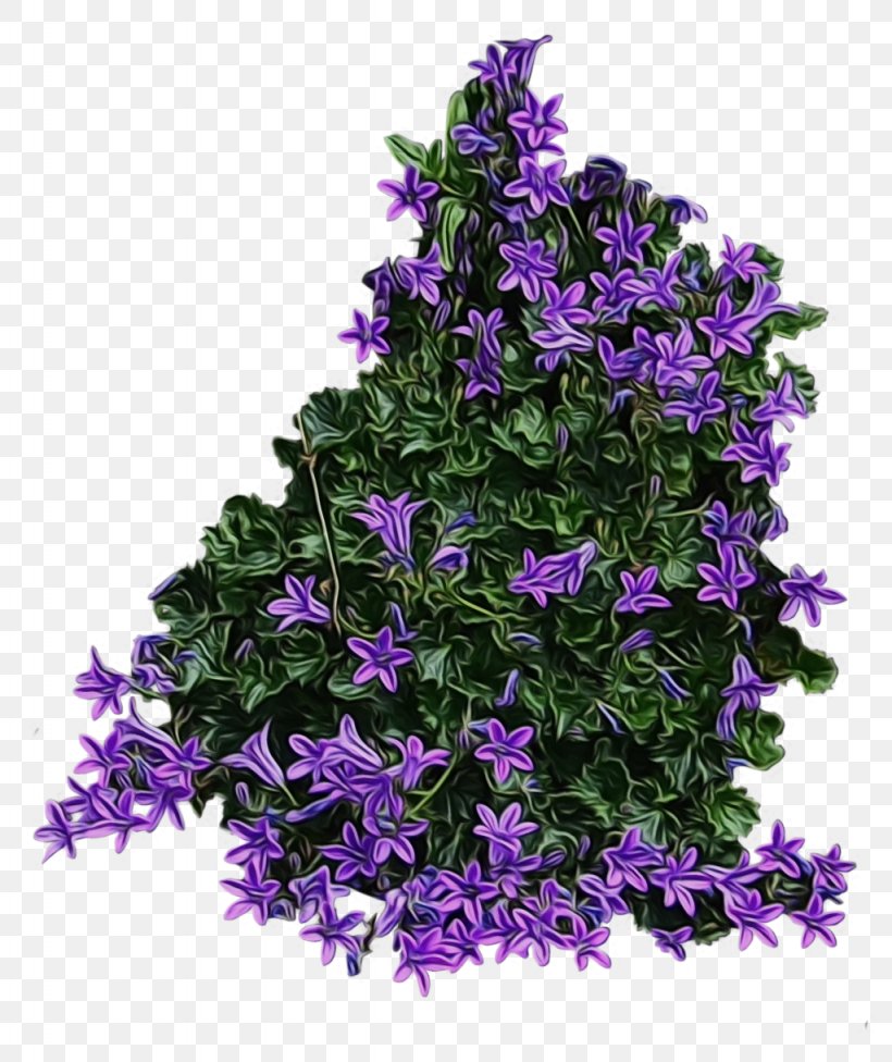 Flower Flowering Plant Purple Plant Violet, PNG, 1024x1220px, Watercolor, Bellflower, Bellflower Family, Buddleia, Flower Download Free
