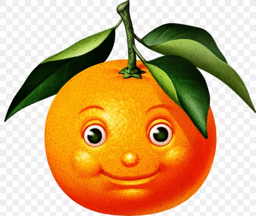 Orange Juice Orange S.A. Juste Un Lascar Apoca, PNG, 827x699px, Orange Juice, Apoca, Axiata Group, Bitter Orange, Calabaza Download Free