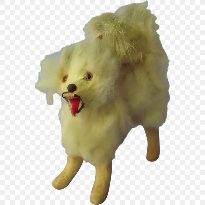 Dog Breed Pomeranian Samoyed Dog Companion Dog Snout, PNG, 1824x1824px, Dog Breed, Breed, Carnivoran, Companion Dog, Dog Download Free