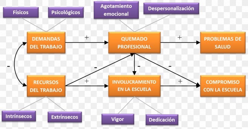 Organization Line Angle, PNG, 1263x657px, Organization, Area, Diagram, Parallel, Text Download Free