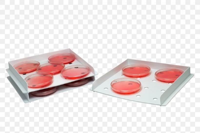 Petri Dishes Incubator Tray SP Scienceware Microbiology, PNG, 1000x667px, Petri Dishes, Art, Art Museum, Belart Products Inc, Cuisine Download Free