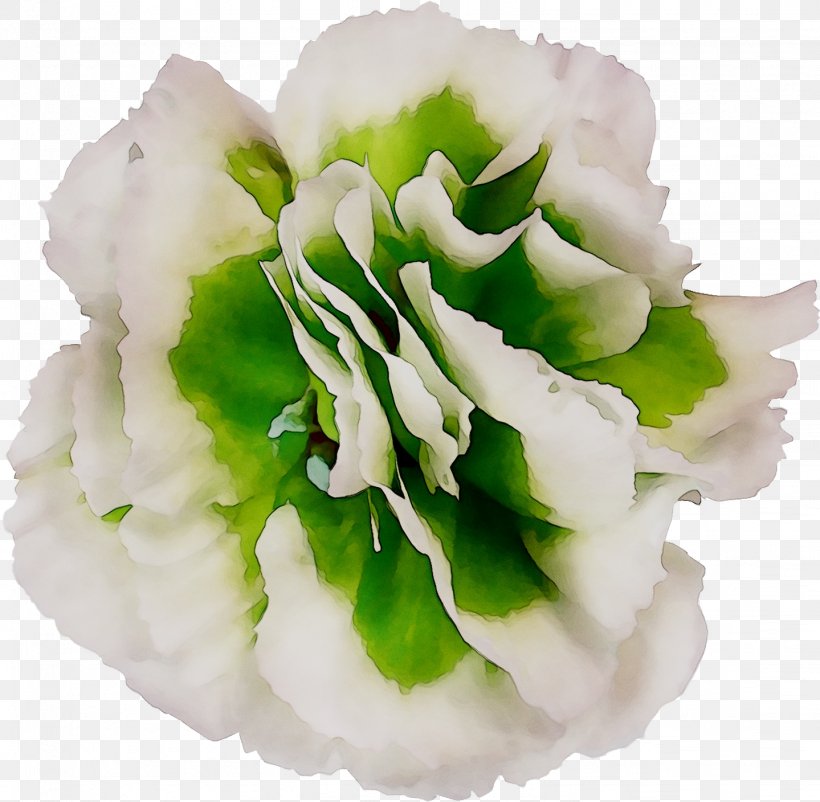Cut Flowers Family M Invest D.o.o. P!nk, PNG, 1439x1408px, Cut Flowers, Artificial Flower, Family M Invest Doo, Flower, Flowering Plant Download Free