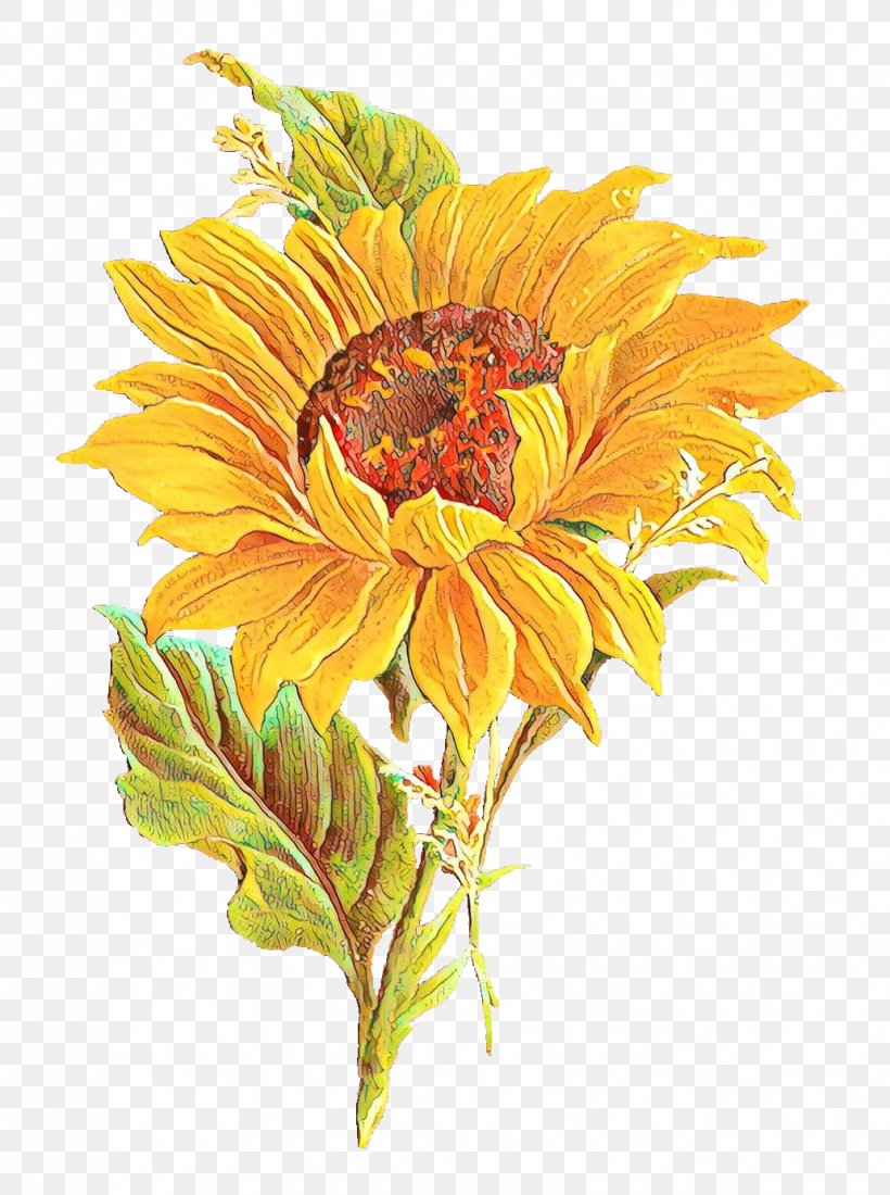 Drawing Of Family, PNG, 1032x1385px, Common Sunflower, Annual Plant ...
