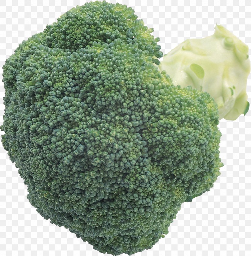 Broccoli Clip Art, PNG, 1354x1384px, Broccoli, Brassica Oleracea, Cabbage, Cauliflower, Cooking Download Free