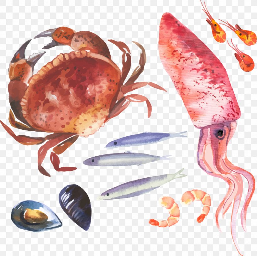 Crab Watercolor Painting Illustration, PNG, 1000x997px, Crab, Animal Source Foods, Decapoda, Drawing, Food Download Free